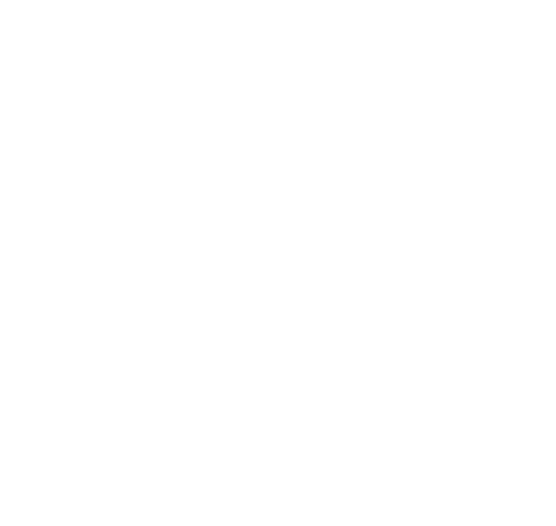 PCI DSS